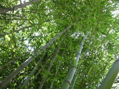DSCN3218.JPG