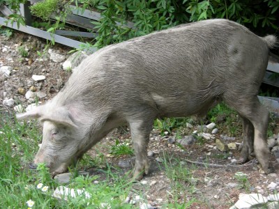 DSCN3270.JPG