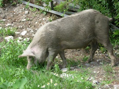 DSCN3271.JPG