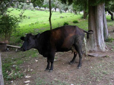 DSCN3310.JPG