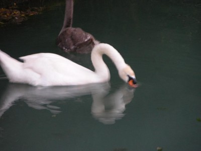 DSCN3556.JPG
