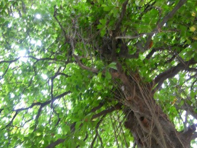 DSCN3300.JPG