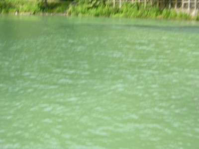 DSCN3322.JPG