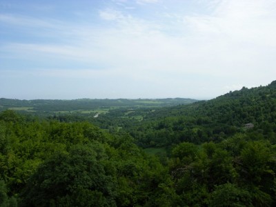DSCN3375.JPG