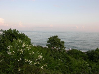 DSCN3521.JPG