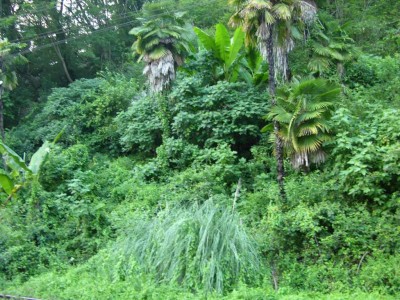 DSCN3664.JPG