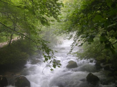 DSCN3695.JPG