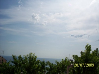 5_640_480.jpg