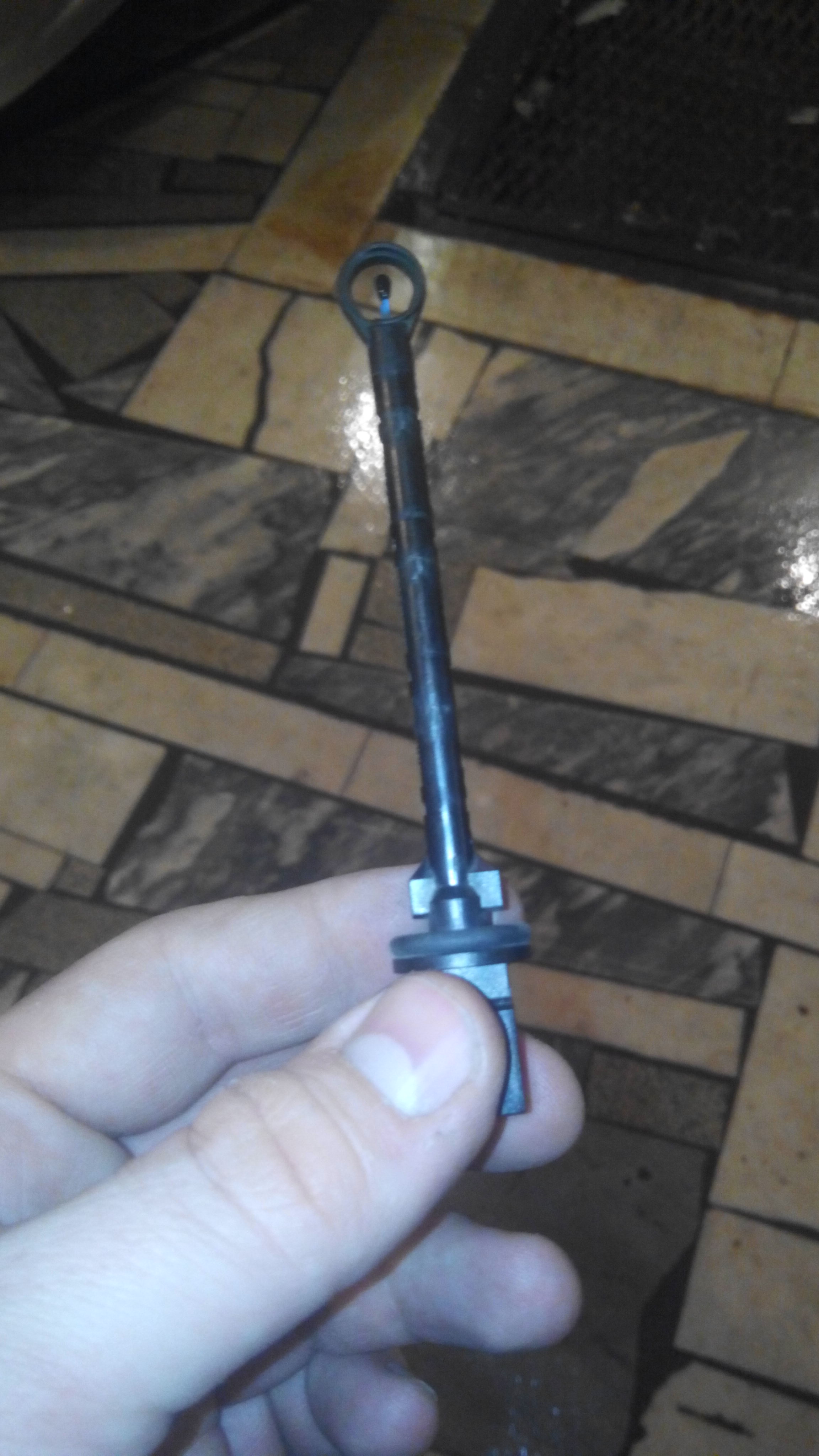 IMG-20170105-WA0051.jpeg
