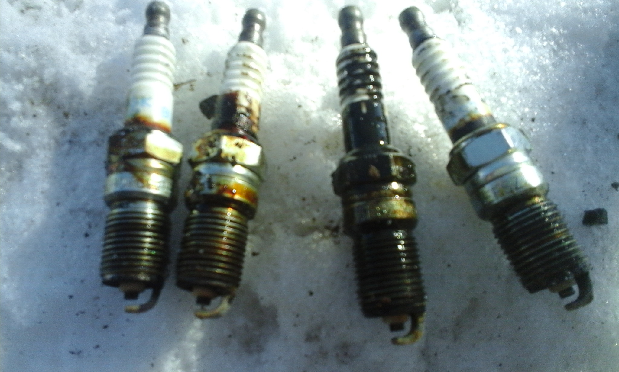 20170209_124139.jpg